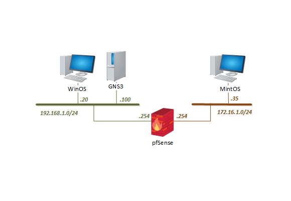 Network+ Pod